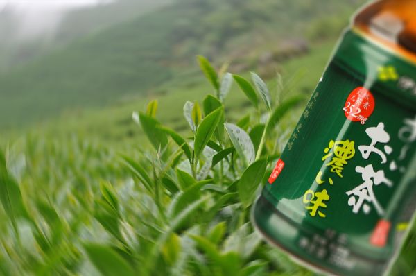 茶胺酸