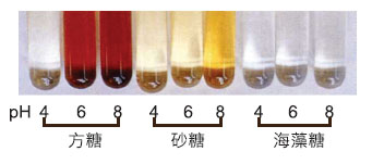 添加糖類的不同觀察梅納反應(yīng)