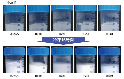 比較不同糖濃度的結(jié)冰體積